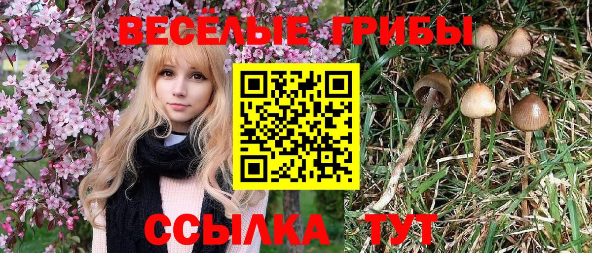 Галлюциногенные грибы мухоморы  Братск  Галлюциногенные грибы мухоморы 