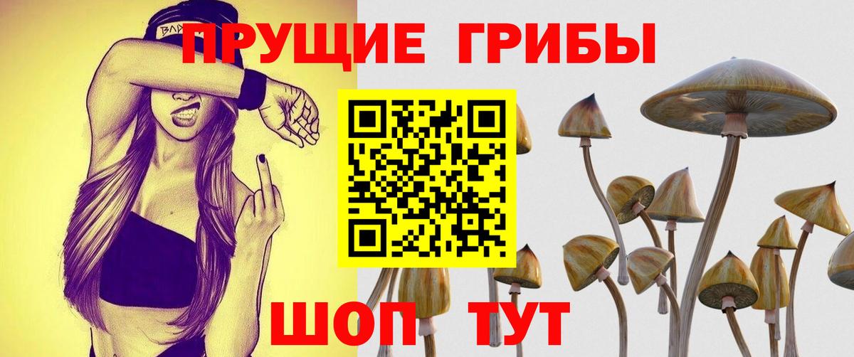 Псилоцибиновые грибы MAGIC MUSHROOMS Братск
