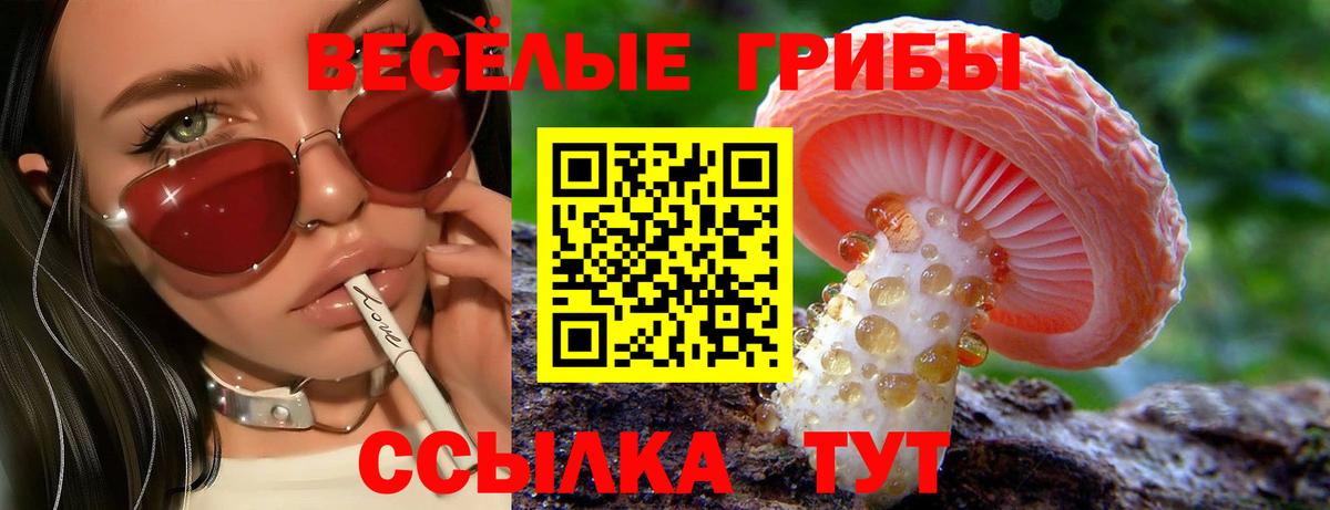 Псилоцибиновые грибы Magic Shrooms Братск