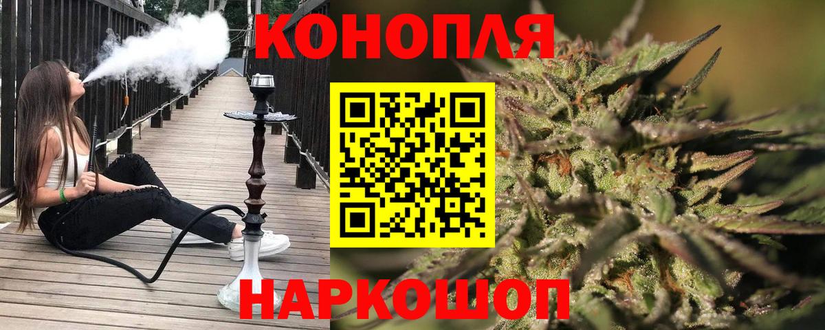 Бошки марихуана марихуана  Братск  Конопля планчик  Марихуана сатива 